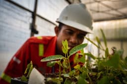 Ekologi Kawasan Rentan