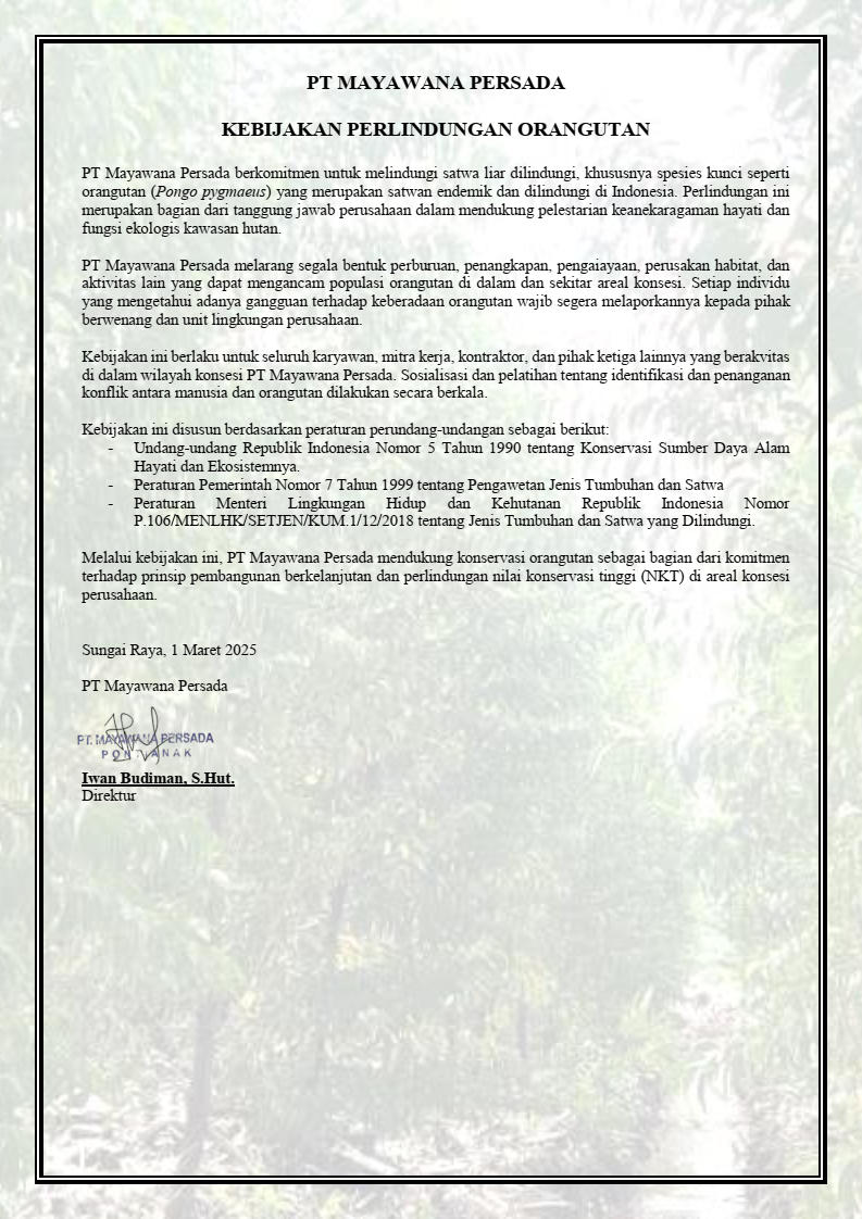 kebijakan-perlindungan-orang-utan.jpg