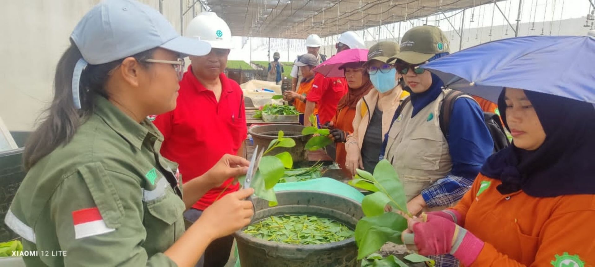 Ketika Dosen Untan Bertemu Mantan Mahasiswanya di Mayawana Persada: Sekarang Gantian Ajari Saya