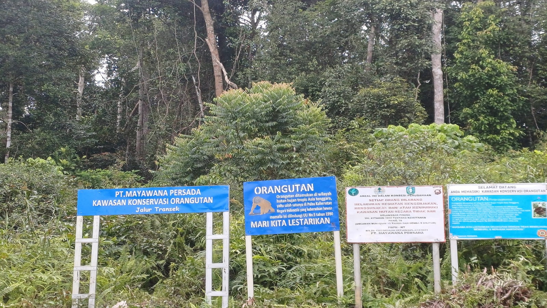 Pegiat Konservasi Sebut Mayawana Jalankan Keseimbangan Kepentingan Ekonomi dan Ekologi