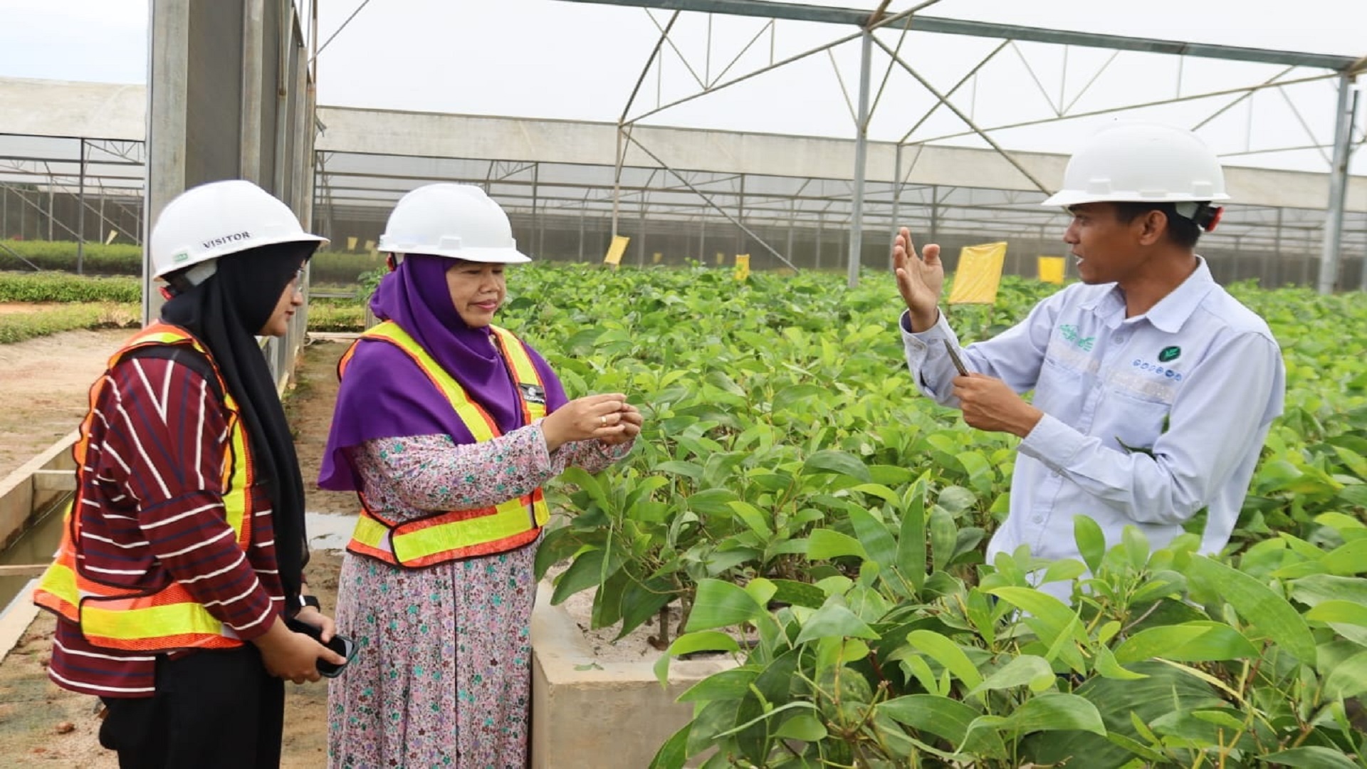 Kunjungi PT Mayawana Persada, Dekan Fahutan Untan Keliling Nursery dan Temui Mahasiswa Magang