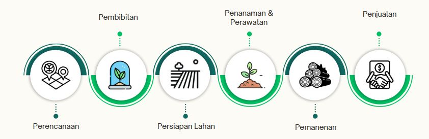 This image for Image Layouts addon